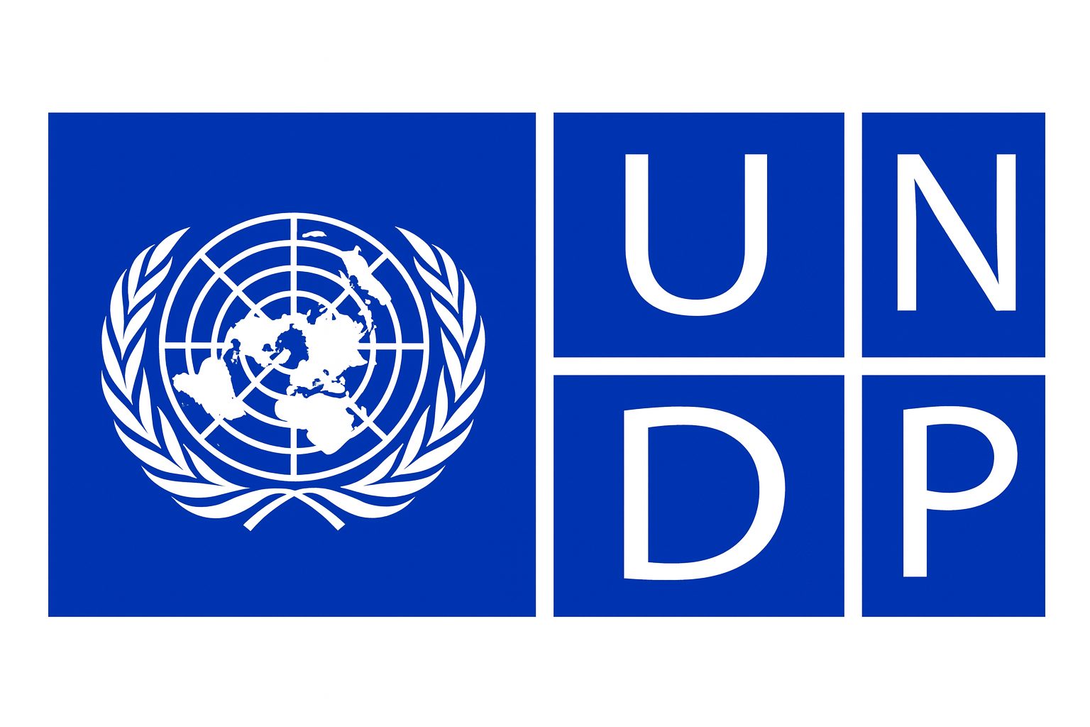 new-undp