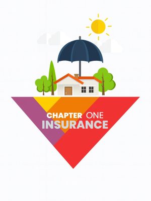 Chapter 1 - Doing Business in Nigeria (2nd Edition)