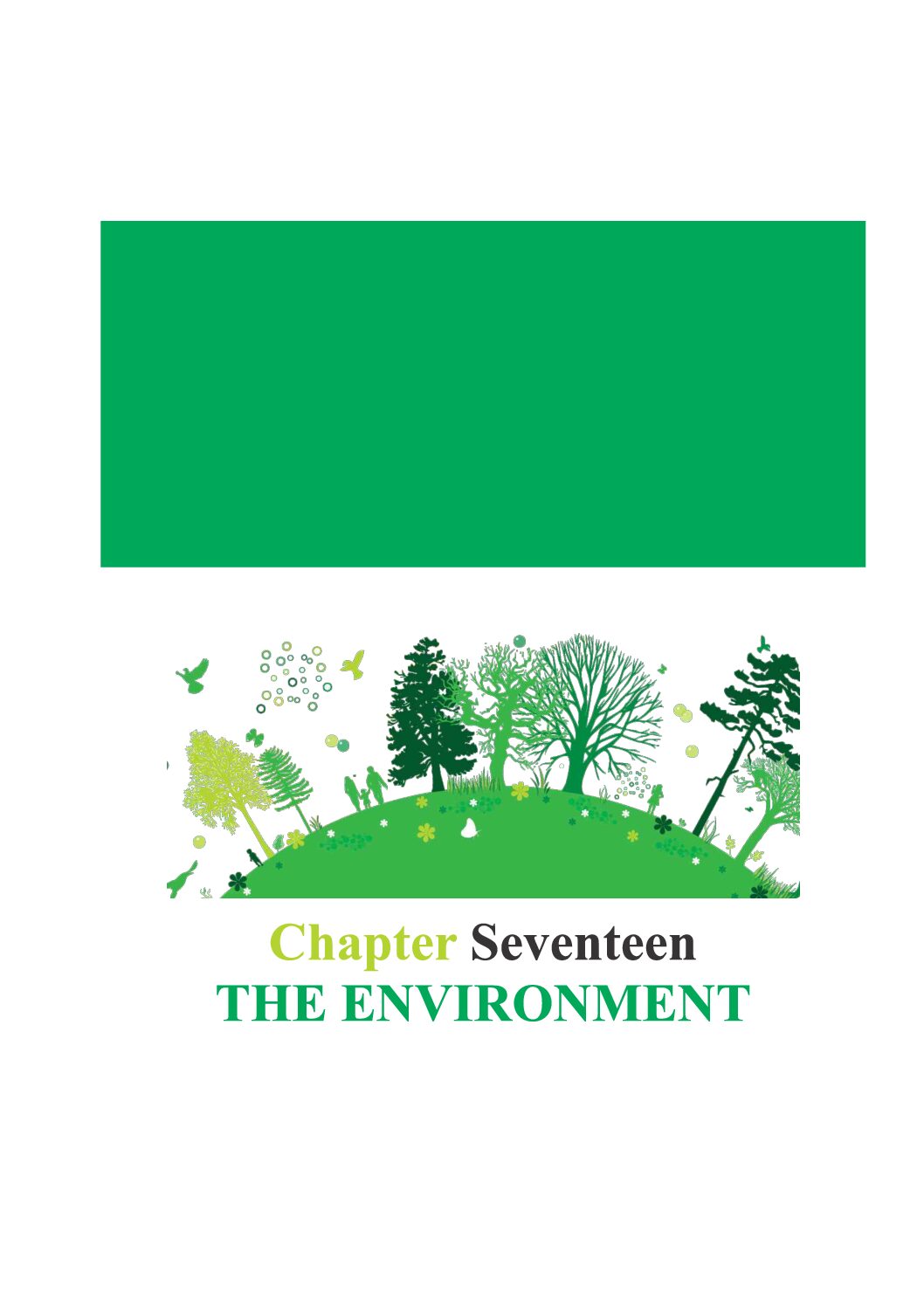 Chapter 17 – Doing Business in Nigeria (2nd Edition)