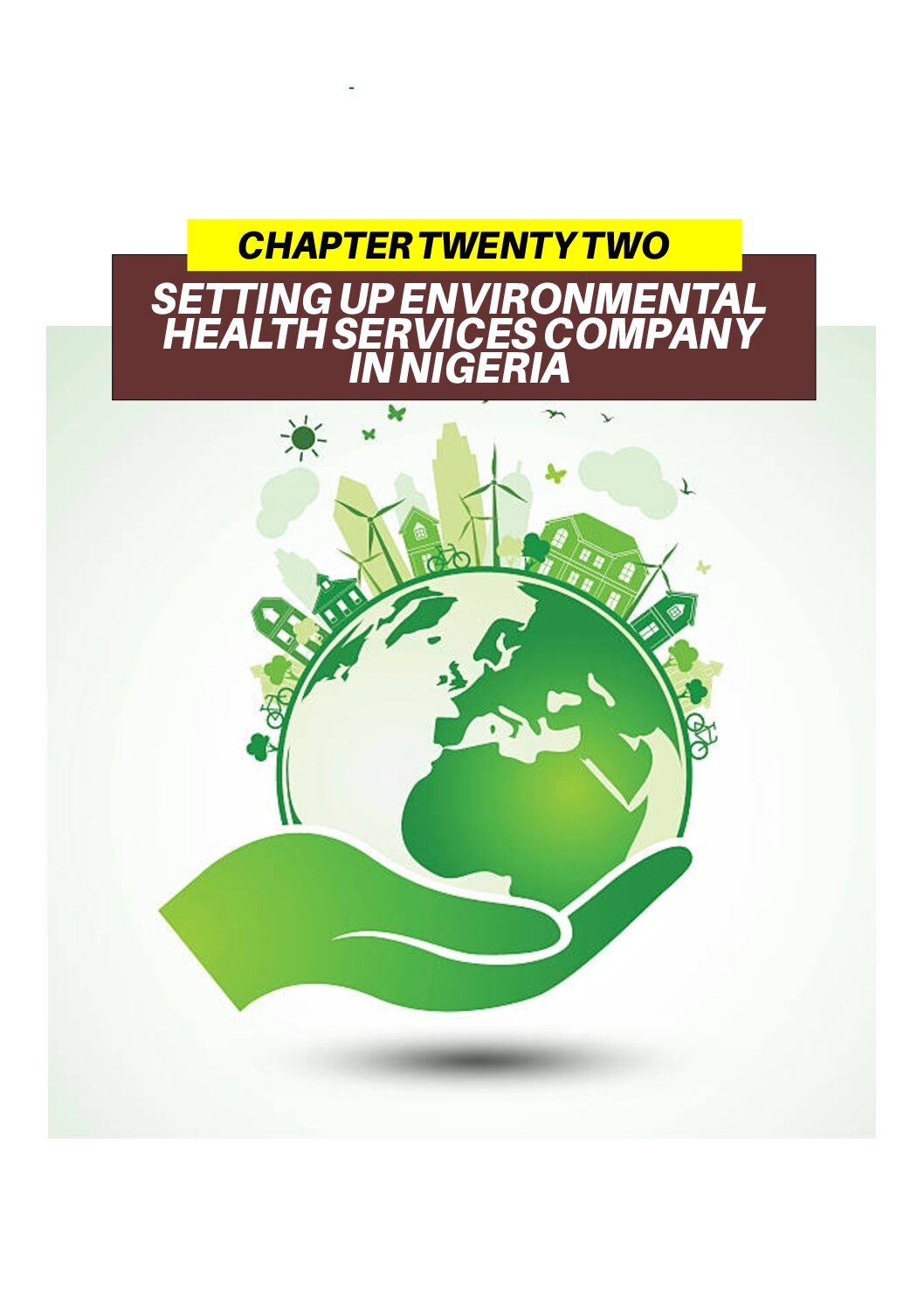 Chapter 22 – Doing Business in Nigeria (2nd Edition)